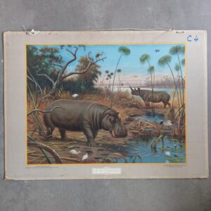 Schoolplaat In het gebied van den Boven-Nijl M.A. Koekkoek 1924 nijlpaard