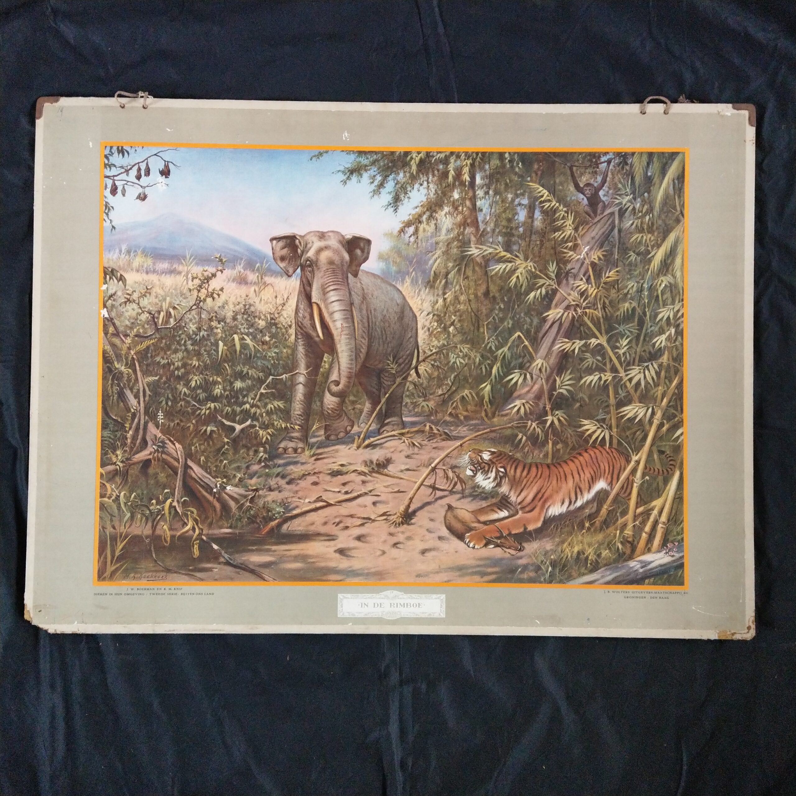 Schoolplaat In de rimboe, getekend door M.A. Koekkoek. Deze plaat is in 1924 uitgegeven door Wolters te Groningen.