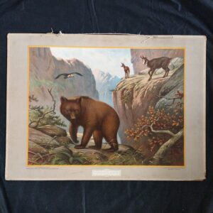 Afbeelding van de schoolplaat Bewoners van de Karpaten. Deze schoolplaat is getekend door M.A. Koekkoek. In 1924 uitgegeven door uitgeverij Wolters.