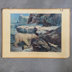 Schoolplaat Te midden van sneeuw en ijs. Tekenaar is M.A. Koekkoek